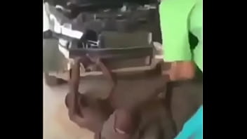 Macaco