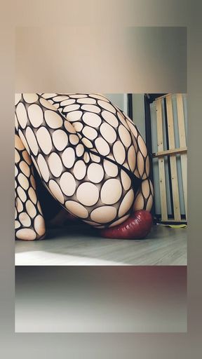 Part 2 Fishnet Slut