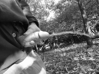 Woodland public void urine result in hard wang almost caught so I just had to stroke untill cum squirts