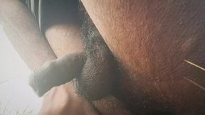 My New Hot Desi Pissing Video in the Fields