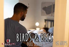 Birds and Bees - FULL - David finds stepson Joseph Watching Gay Porn... time for the &quot;talk&quot; and the dick!