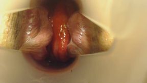 Show inside my asshole and wet orgasms