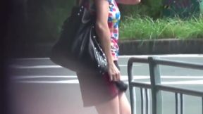 Pissy japanese hottie urinates in public