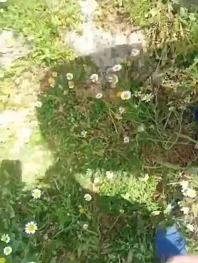 Fucked in the Field 2