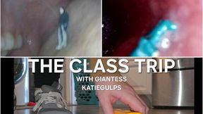 KatieGulps:The Class Trip