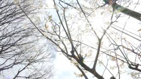 Miharu Hisamatsu's First Married Woman Shooter Documentary with Digest Highlights