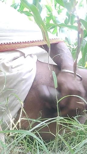 The Village Boy Went to the Cornfield and Hit Him Hard