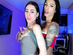 Amateur shemale tranny asshole fucked