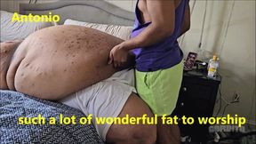Antonio such a lot of wonderful fat to worship