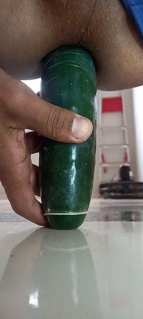 Sitting on the Cucumber
