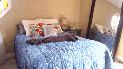 Do Everything MistressVikki Says (Sissy Training) (CEI)