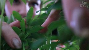 Housesitter Giantess