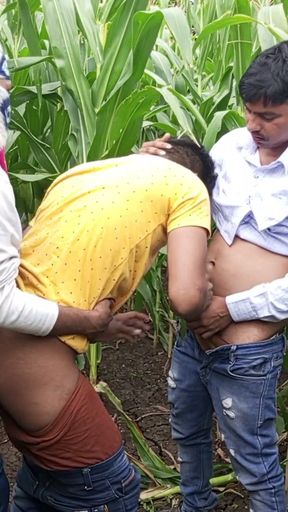 Indian Pooja Shemale Boyfrends Took A New Friends To Pooja  Corn Field Today And Three Frends Had A Lot Of Fun In Sex   Clip 2