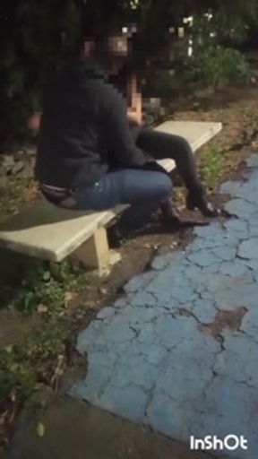 I had sex with a stranger in the park, the cuckold filmed everything