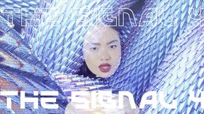 SIGNAL 4