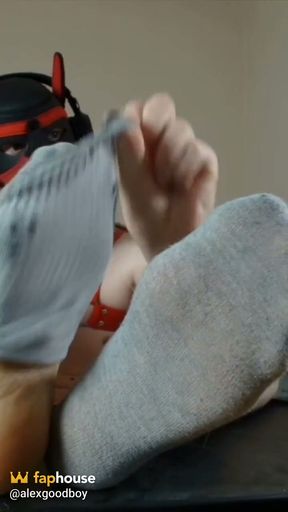 Puppy Puts His Paws Right in Your Face