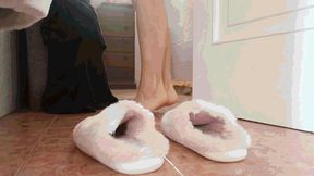 Who did this to my slippers? MP4 (1920x1080) FHD