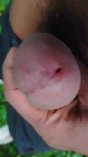 In the woods with a black dick