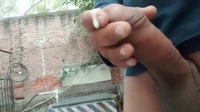 Abeja se frota con mi pico en el jard�n