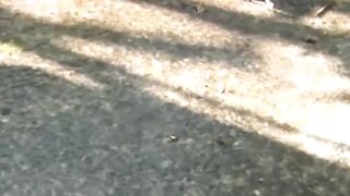 Peeing-JapaneseBabes - Shameless Teen Flaunts Piss in Public