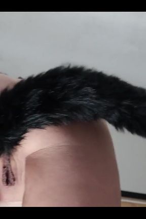 Giving You a Front Row Seat to ire My Pussy and Tail Butt Plug