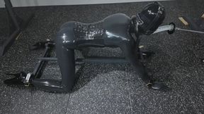 Fully automatic mechanical deep throat training