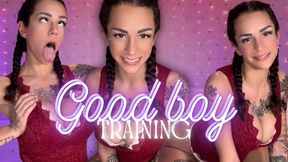 Good Boy Training