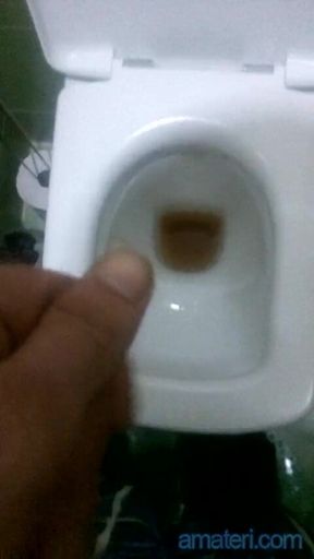 My pissing Toilet