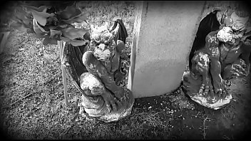 Inside A Grave