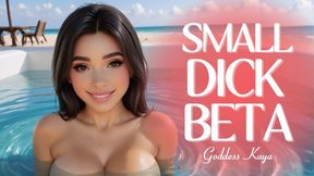 Small Dick Beta | Life Advice