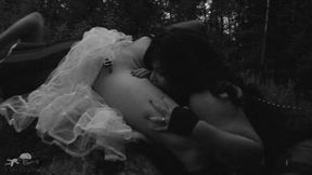 The Vampire's Prey 2 (2015)