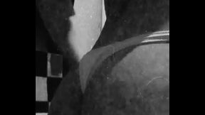 Gostam de meninas trans?