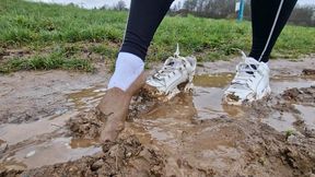 Weiße Lack Buffalos im Schlammchaos