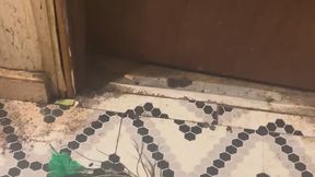 The best bondage items MP4