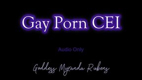 Gay Porn CEI - Audio Only MP4