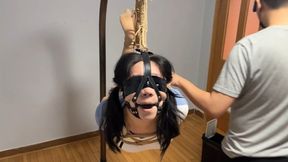 wn6-suspension bondage