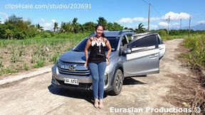 289 - Apple problem with Honda