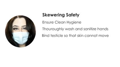 Testicle Skewering Roleplay Instructions