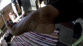 My Feet Must Be Desired - Full Movie   {Vivianne}