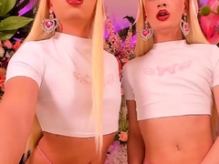 Two hot ladyboys jerking their cock on cam
