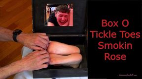 Box O Tickle Toes Smokin Rose - Queer Tickling in Foot Tickling Stocks MP4