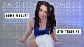 NGHH Dumb Wallet ATM Training