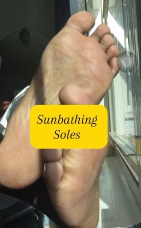 Sunbathing Soles