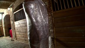 Bound Blonde in Dungeon Double Penetration Orgy