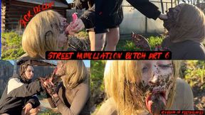 street humiliation bitch prt 6 (4K)