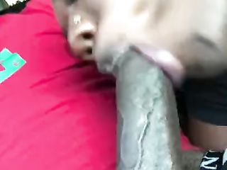 Thot Sucking Dick in the Car