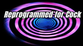 Reprogrammed for Cock