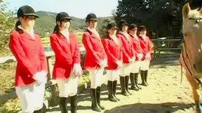 Asian Delight at the Races – Wild Rendezvous Exposed