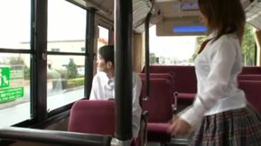 Must see spectacle 344962