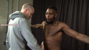 Breeder Plowers Joseph 1